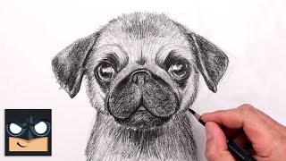 How To Draw a Pug | YouTube Studio Sketch Tutorial