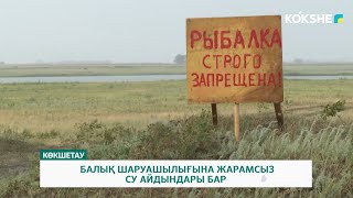 БАЛЫҚ ШАРУАШЫЛЫҒЫНА ЖАРАМСЫЗ СУ АЙДЫНДАРЫ БАР