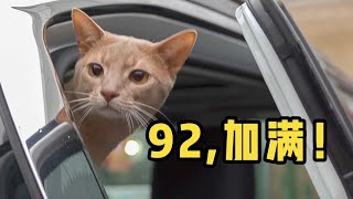 小夫妻带3猫2狗自驾2500公里，信任比亲密更珍贵