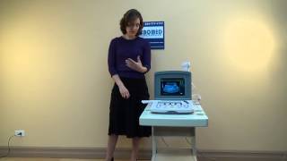 WED-9618V Veterinary Ultrasound Machine with LCD screen