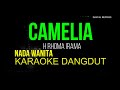 CAMELIA KARAOKE DANGDUT ORIGINAL NADA WANITA HD AUDIO