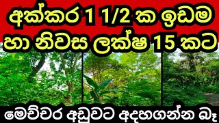 අක්කර 1 1/2 ක් සමග නිවස රු ලක්ෂ 15 කට | Land for sale in sri lanka | Aduwata idam | Agriculture land