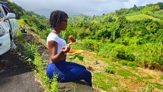 GOOD FOOD IN ST.VINCENT 🇻🇨 #saintvincentandthegrenadines #caribbeanadventure