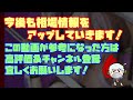 【相場情報】3日目相場！一番くじ 勝利の女神：nikke chapter4　一番賞