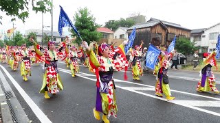 【浜っ鼓★弾★ＤＡＮ 】銭形よさこい2024（練り歩き)かんおんじ銭形まつり