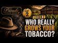 The Cigar Industry's Biggest Secret — Who Actually Controls Your Tobacco
