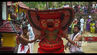 വേട്ടക്കൊരുമകൻ തെയ്യം | Theyyam Vettakkorumakan | കാവുക്കുന്നത്ത് ഭഗവതി ക്ഷേത്രം