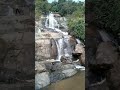 bamni falls ajodhya pahar purulia#shorts