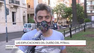 Polémico entrenamiento de un perro pitbull en el parque