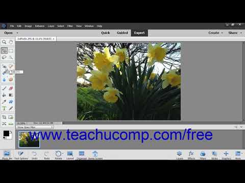 Photoshop Elements 2019 Tutorial Introduction to Photoshop Elements Adobe Training Photoshop Elements 2019 Tutorial Introduction to Photoshop Elements Adobe Training