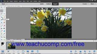 Photoshop Elements 2019 Tutorial Introduction to Photoshop Elements Adobe Training