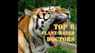 Top Plant Based Vegan Doctors |  YOUR HEALTH explained from Doctors!