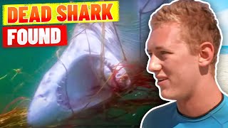 Dead Shark Does The GROSSEST Thing