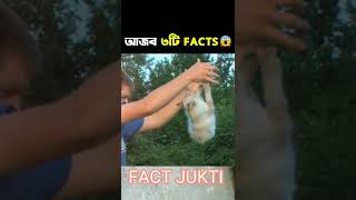 আজব 3 টি FACTS