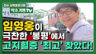 임영웅이 극찬한 '봉평'에서 고지혈증 최고 찾았다