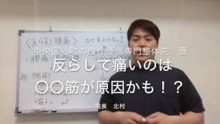 中央区谷町の慢性腰痛専門整体院　蕾