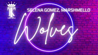 Selena Gomez, Marshmello - Wolves with Lyrics