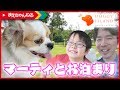 【祝】マーティ間も無く1歳! 犬も一緒に泊まれるドギーズアイランドへ行ってきました♪ [vlog] #GoPro7 | まえちゃんねる