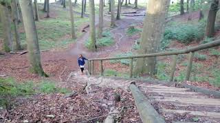 Smilje i bosilje Stairway to nature