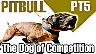 Pitbull - Dogfight - Audiobook - JOSEPH L COLBY / Part 5 #pitbulls #dogfighting #apbt