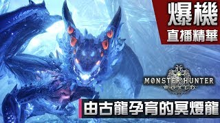 【Ending】由古龍孕育的冥燈龍 - 故事模式 | Monster Hunter World 直播精華