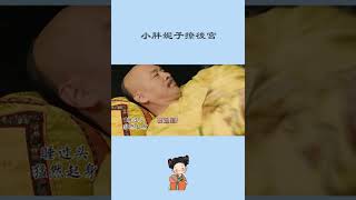 One Minute 甄嬛传：紫禁城每日起床眾生相，來看看有沒有你！【小胖妮子撩後宮】#shorts