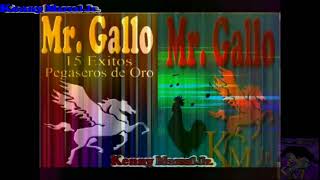 Mr. Gallo - 15 Exitos Pegaseros de Oro Mix 🎹🎶