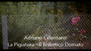 Adriano Celentano - La Pigiatura - Il Bisbetico Domato (1980)