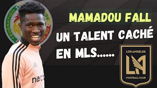 A la découverte de Mamadou Fall | La pépite Sénégalais du FC Los Angeles