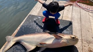 Bungsamran Pond Thailand - Mancing Ikan Monster air tawar.