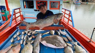 ตกปลาทะเลEP1 ผิดคิว กุเลา!! กินเฉยไซส์5ครับ  ใหญ่จัด | SDK Fishing