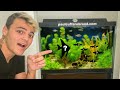 BUYING 18 MYSTERY FISH for My AQUARIUM!!