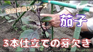 【茄子】3本仕立ての芽欠きをしました【家庭菜園シリーズ】