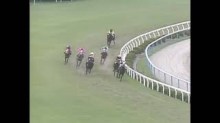 ダイタクヘリオス 1991年 第21回高松宮杯(GII) (優勝馬：ダイタクヘリオス)