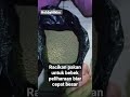 racikan pakan untuk bebek peliharaan agar cepat besar dan gemuk shorts