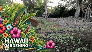 Gardening in Ocean View Hawaii   Got More Dirt and Did a Lot of Re planting