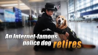 Live: An Internet-famous police dog retires 围观网红警犬即将到来的退休生活