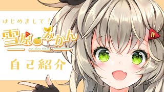 【自己紹介】はじめまして！雪原みかんです！【新人？vtuber】