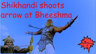 शिखंडी से भीष्म पितामह का वध l Mahabharat l Shikhandi kills Bheeshm l The cinematic Universe