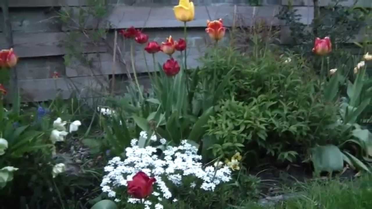 Hdv 0022 Mp4 Youtube