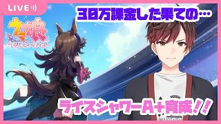 【ウマ娘】ガチ育成！ライスシャワーA+を目指します！【新人Vtuber】