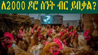 በ532,000ብር ጀምረው በየወሩ የተጣራ 57,500 ለ1አመት ከአምስት ወር