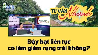 APN - ĐẬY BẠT LIÊN TỤC CÓ GIÚP SẦU RIÊNG GIẢM RỤNG TRÁI KHÔNG?