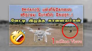 சிரிச்சு சிரிச்சு முடியல.. ஊர்காட்டு புள்ளிங்கோஸை ...வேட்டி இழந்த காளையார்கள்🤣🤣🤣🤣