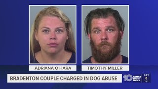 Bradenton couple arrested for aggravated animal cruelty charges