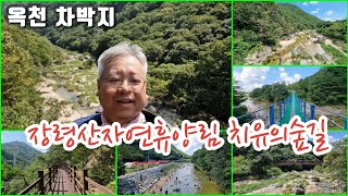 장령산자연휴양림 치유의숲길 | 옥천 차박지