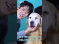 쇼츠 멍뭉미 대명사와 멍뭉이🐶의 만남 세상 사랑스러워~🦴🐕