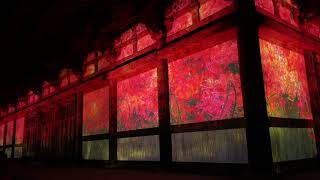 チームラボ 東寺 光の祭 - TOKIO インカラミ / teamLab: Digitized World Heritage Site of Toji - TOKIO INKARAMI(Part 2)