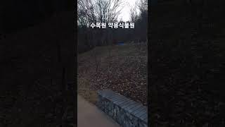 새해첫날 수목원 약용식물원