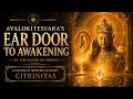The Sound of Silence | Hearing, Awareness & Nondual Meditation | Modern Alchemy: Citrinitas Ch. 35